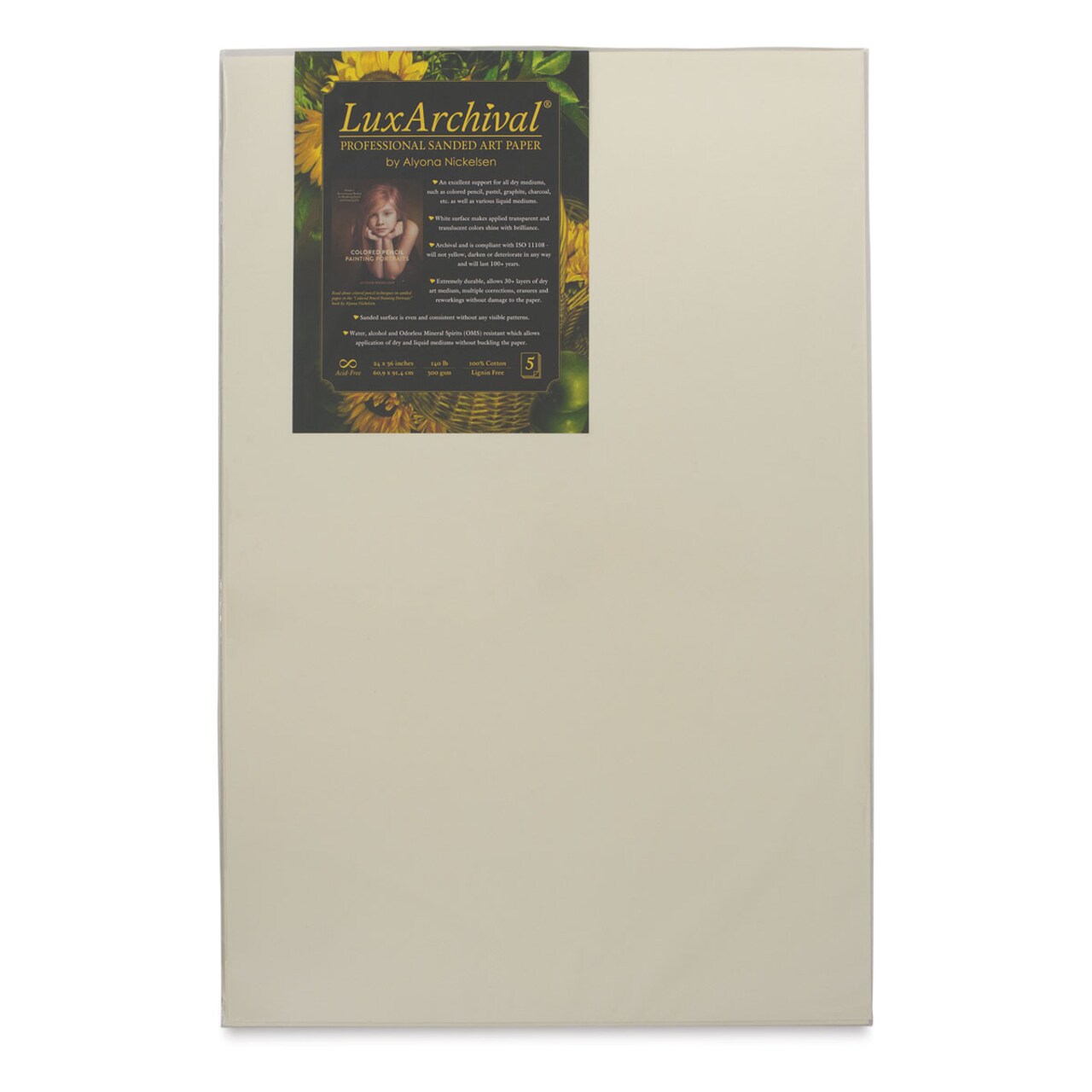 Brush and Pencil LuxArchival Professional Sanded Art Paper - 24" x 36", 400 Grit, Pkg of 5